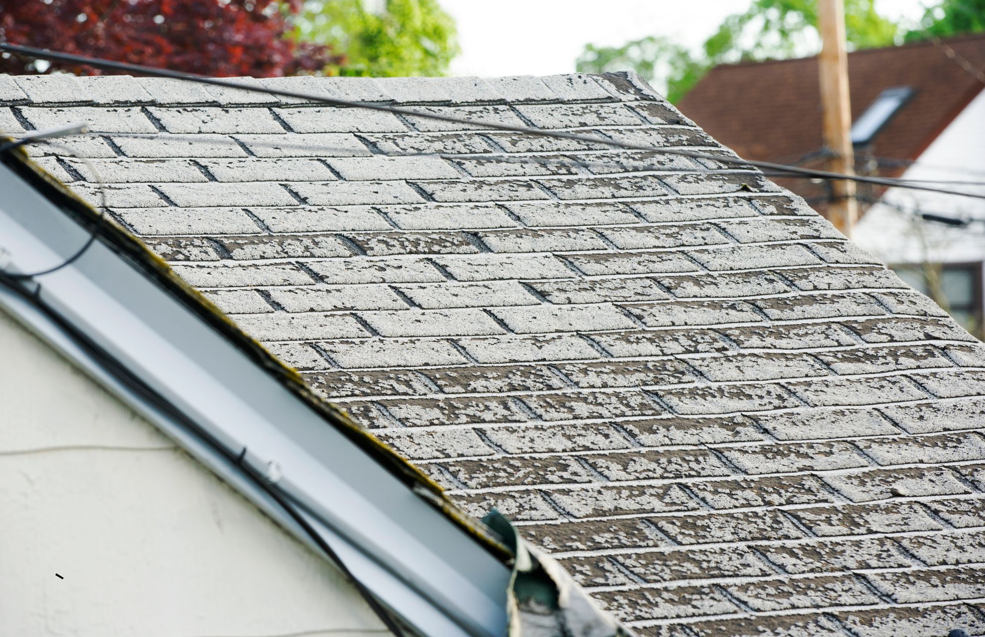 Untitled design - 2025-06-03T172121.331