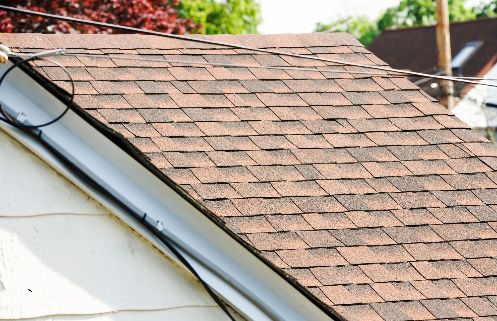 Untitled design - 2025-06-03T172215.708